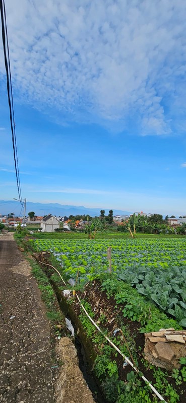 Tanah Murah SHM 420 m&#xb2; Dekat STIKes Rajawali Cocok Usaha