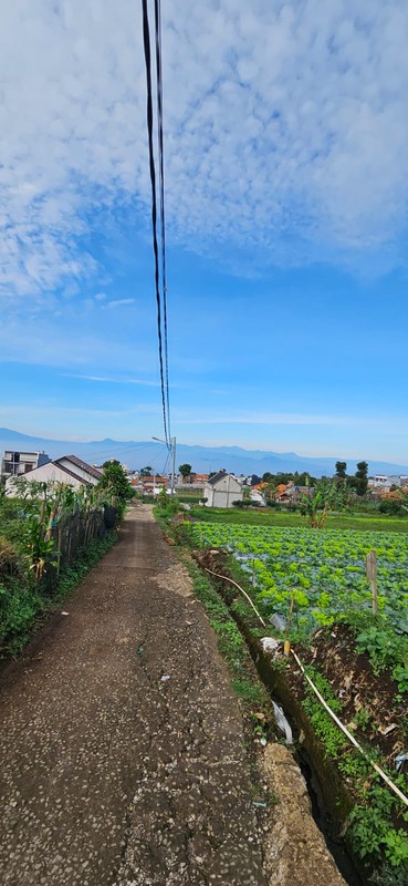 Tanah Murah SHM 420 m&#xb2; Dekat STIKes Rajawali Cocok Usaha