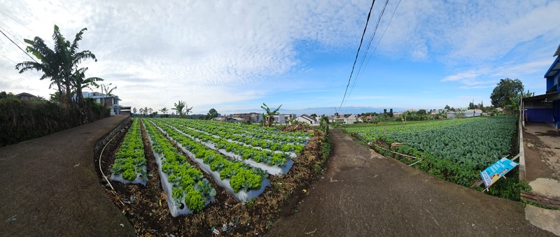 Tanah Murah SHM 420 m&#xb2; Dekat STIKes Rajawali Cocok Usaha