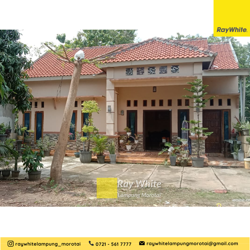 Dijual rumah