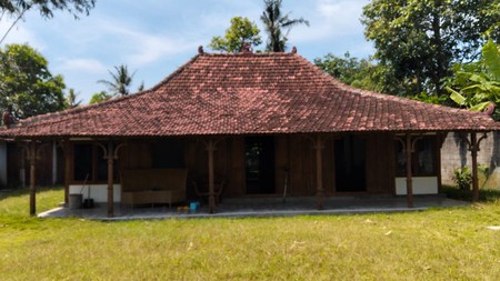 Investasi Homestay Joglo & horse Stable Lokasi Dekat Jalan Parangtritis
