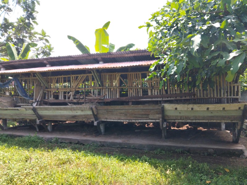 Investasi Homestay Joglo & horse Stable Lokasi Dekat Jalan Parangtritis