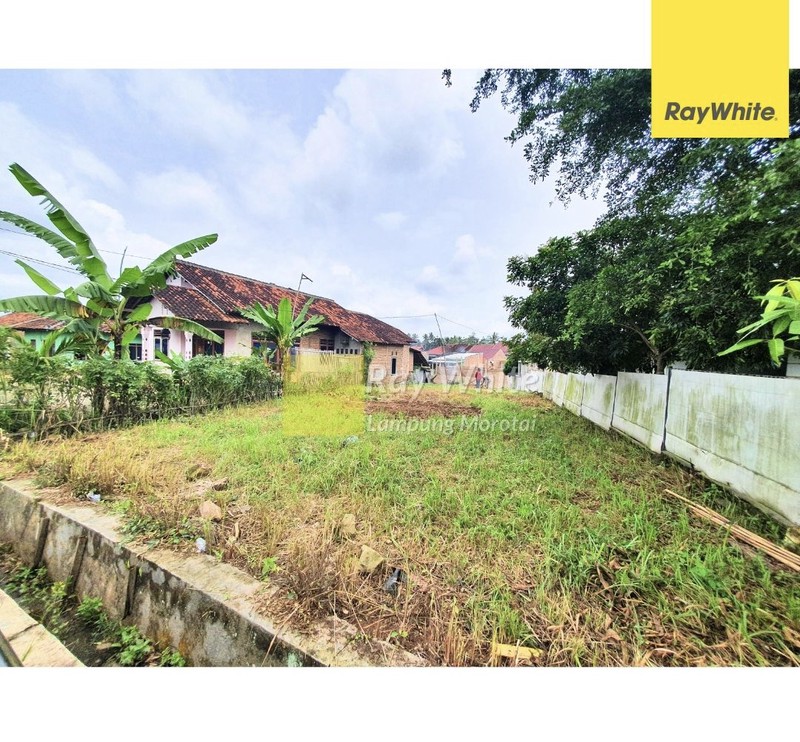 Dijual cepat tanah strategis ramai lokasi tanjung senang Lampung