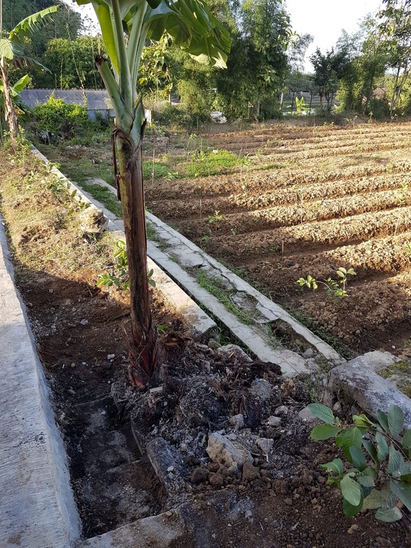 DIJUAL Villa di Cipeundeuy Sukabumi - asri & alami utk invest/rmh istirahat