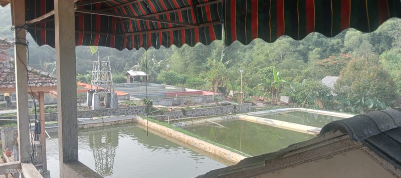 DIJUAL Villa di Cipeundeuy Sukabumi - asri & alami utk invest/rmh istirahat