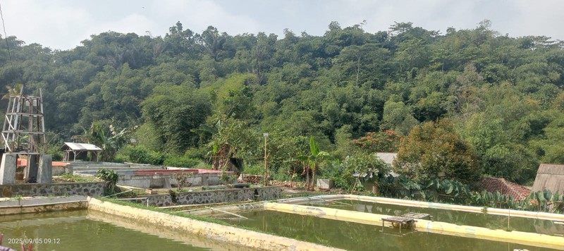 DIJUAL Villa di Cipeundeuy Sukabumi - asri & alami utk invest/rmh istirahat