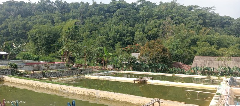 DIJUAL Villa di Cipeundeuy Sukabumi - asri & alami utk invest/rmh istirahat