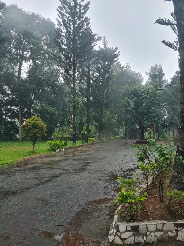 Dijual Villa Tenang dan Asri di Gunung Geulis, Megamendung Bogor
