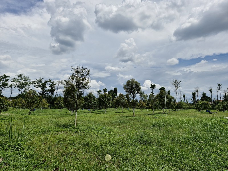 4.5 Hektar Lahan dan Pabrik di Pasir Angin Cileungsi