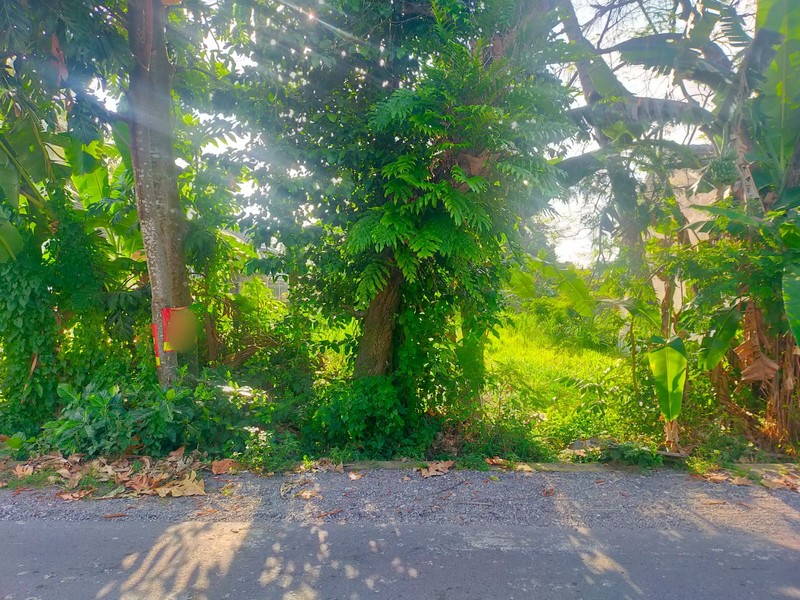 Miliki tanah 1197 Meter Persegi Lokasi Dekat Stadion Maguwoharjo, Depok, Sleman