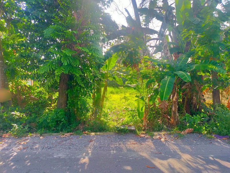 Miliki tanah 1197 Meter Persegi Lokasi Dekat Stadion Maguwoharjo, Depok, Sleman