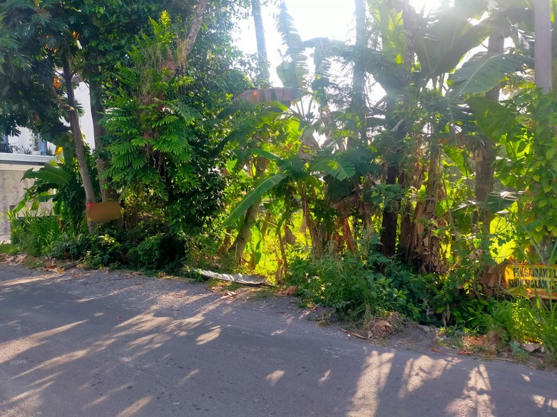 Miliki tanah 1197 Meter Persegi Lokasi Dekat Stadion Maguwoharjo, Depok, Sleman