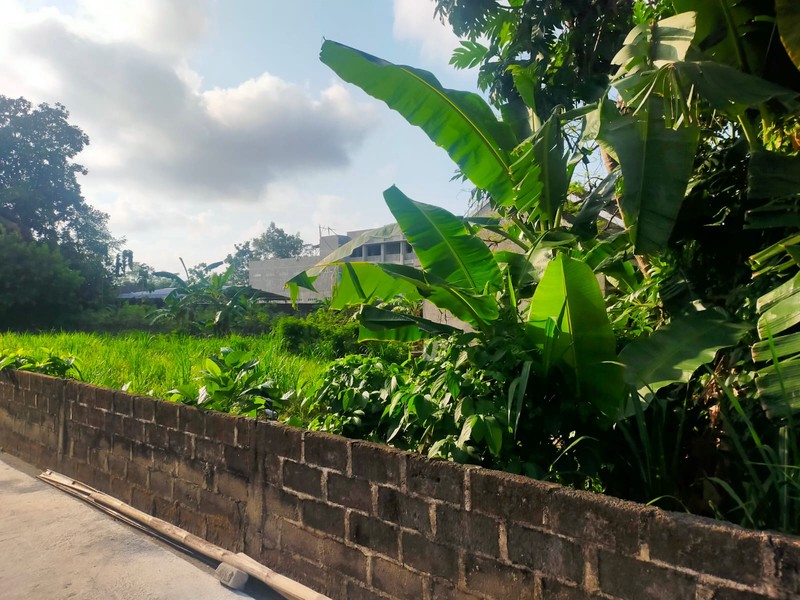 Miliki tanah 1197 Meter Persegi Lokasi Dekat Stadion Maguwoharjo, Depok, Sleman