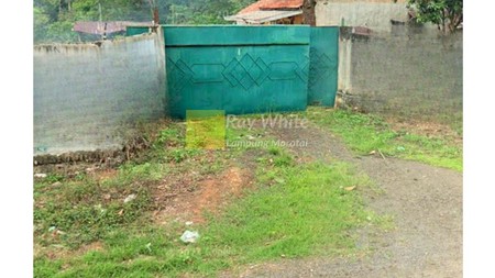 Dijual Tanah Murah Waykanan