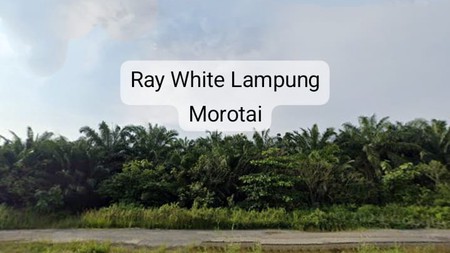 Dijual Tanah harga 1,5jt/meter nego lokasi terusan ryacudu Lampung