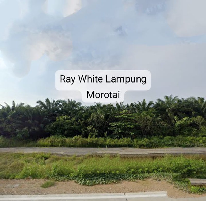 Dijual Tanah harga 1,5jt/meter nego lokasi terusan ryacudu Lampung