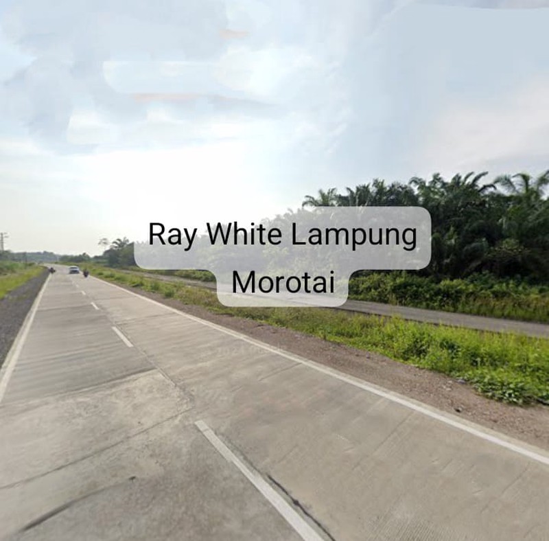 Dijual Tanah harga 1,5jt/meter nego lokasi terusan ryacudu Lampung