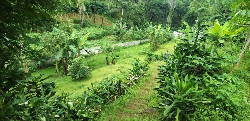 DIJUAL TANAH KOLONEL MASTURI CIMAHI COCOK UNTUK TEMPAT USAHA