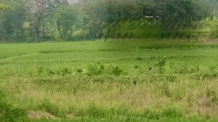 Dijual  Tanah kosong di Desa Cikande, Tangerang Banten