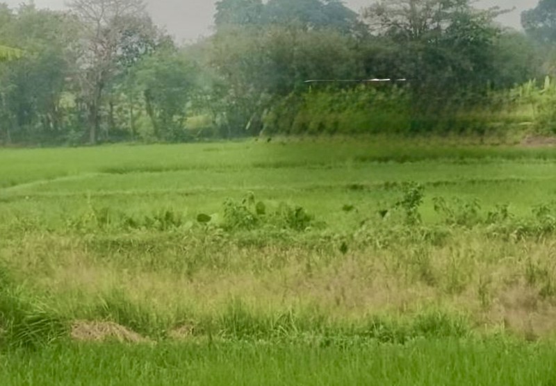 Dijual Tanah kosong di Desa Cikande, Tangerang Banten