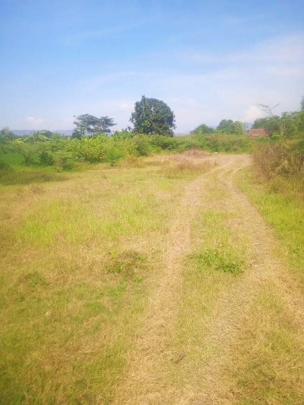Tanah Luas 8100 Meter Persegi Lokasi Strategis di Berbah Sleman 