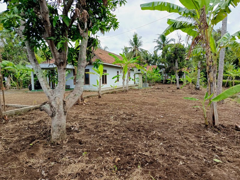 Tanah Bonus Bangunan 1796 meter Persegi Lokasi Di Jalan Purworejo-Congot