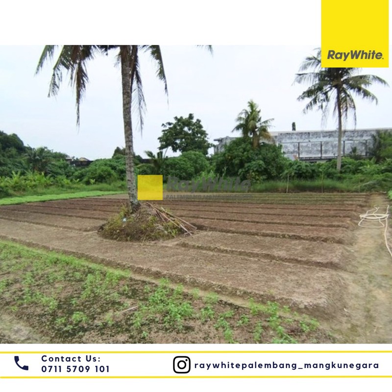 DIJUAL TANAH AREA KOMPLEK