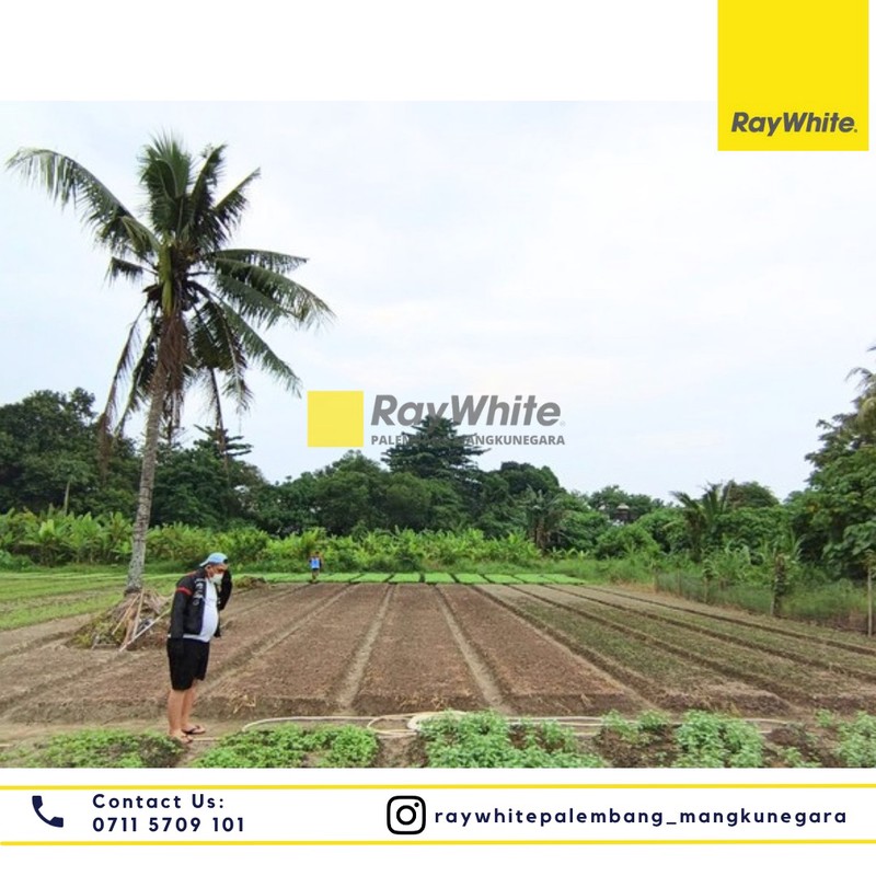 DIJUAL TANAH AREA KOMPLEK