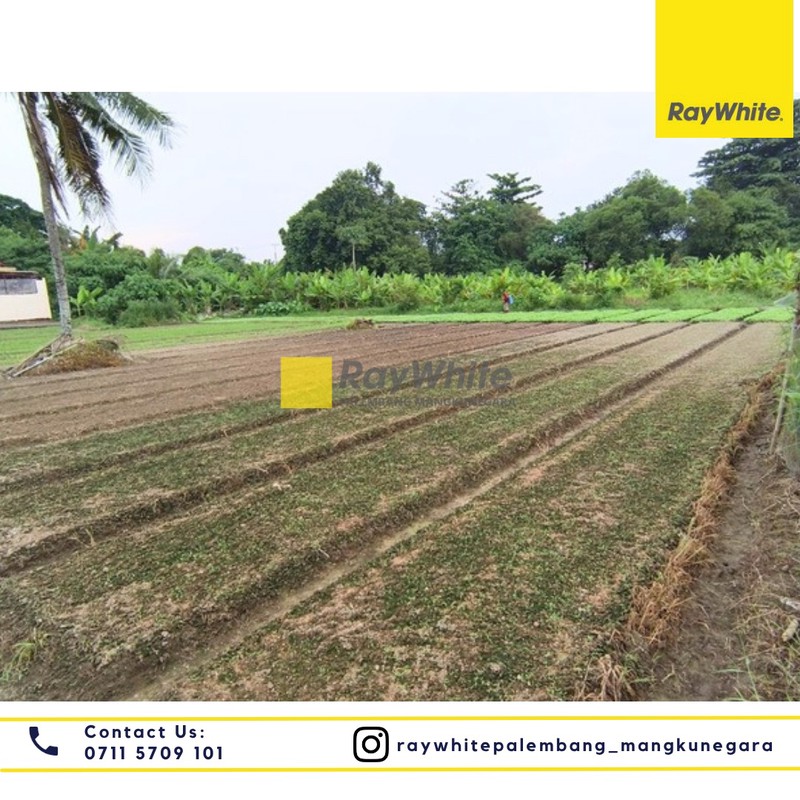 DIJUAL TANAH AREA KOMPLEK