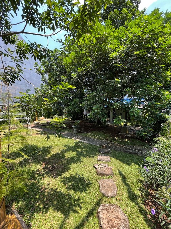 Rumah Clasic dengan halaman yg sangat luas Sejuk dan Nyaman