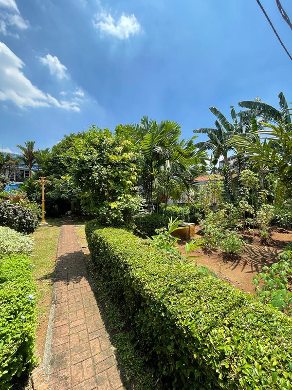 Rumah Clasic dengan halaman yg sangat luas Sejuk dan Nyaman