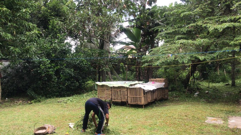 Rumah Cocok Untuk Homestay Lokasi Strategis Deket UII