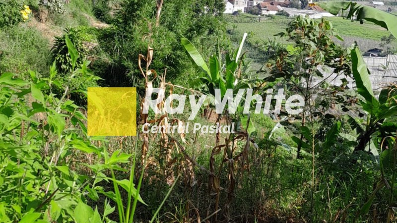 Kavling di Jalan Karyawangi Parongpong Bandung