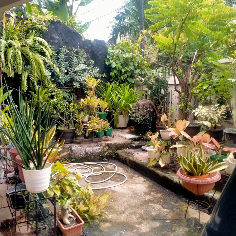 Rumah 2 Lantai Lokasi Strategis di Tebet Barat Jaksel
