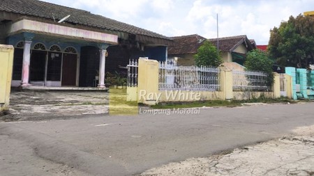Dijual tanah bonus Bangunan terjangkau luas tanah 565m sultan agung