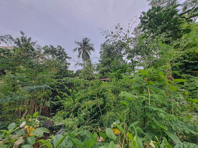 Rumah di Kebon Jeruk Kemanggisan 