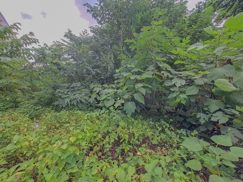Tanah Tomang Grogol Petamburan, dekat Taman Anggrek Tanjung Duren