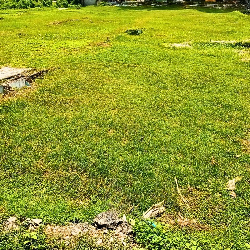 Tanah Luas Strategis Di Daerah Industri Untuk Rumah Kost dan Klinik