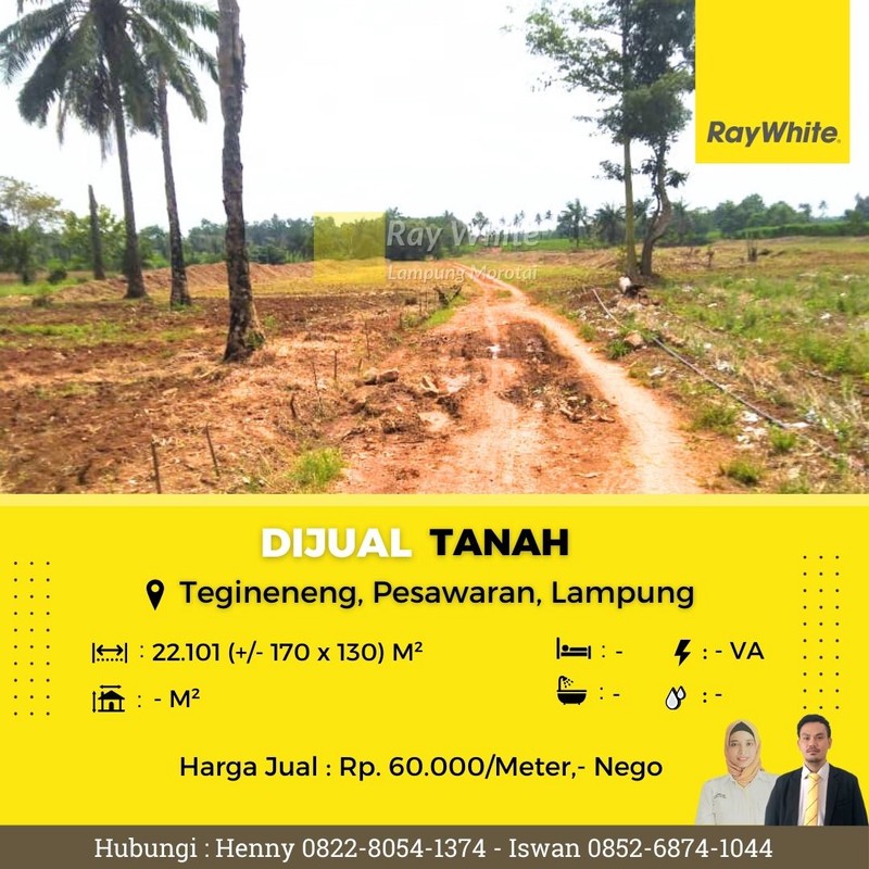 Dijual tanah lokais Tegineneng Pesawaran area perkebunan 60ribu per meter nego