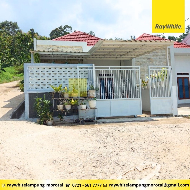 Rumah Minimalis Susunan Baru