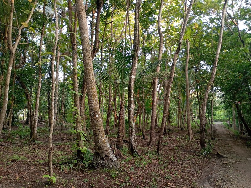 Dijual Tanah Lokasi Strategis di Kulon Progo, Daerah Istimewa Yogyakarta, Jawa Tengah