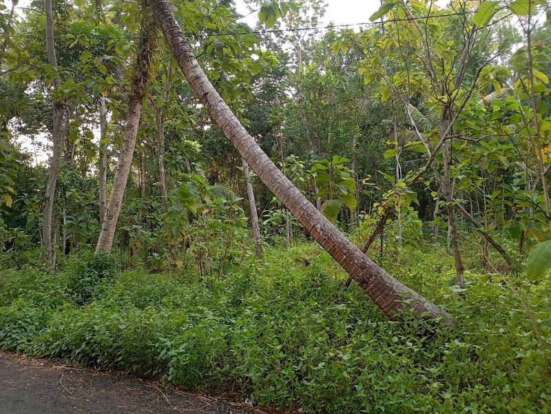 Dijual Tanah Lokasi Strategis di Kulon Progo, Daerah Istimewa Yogyakarta, Jawa Tengah