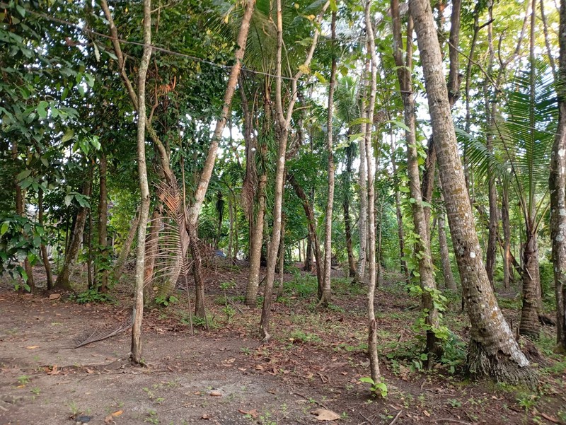 Dijual Tanah Lokasi Strategis di Kulon Progo, Daerah Istimewa Yogyakarta, Jawa Tengah