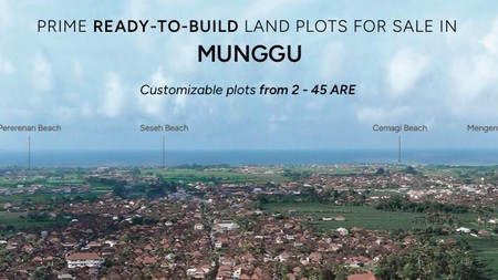 Land Leasehold Central Munggu Bali