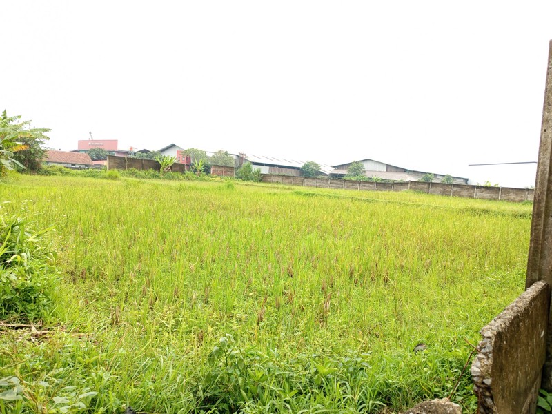 Dijual tanah lokasi pinggir jalan Desa Mekarjaya Kecamatan Panongan, Kabupaten Tangerang