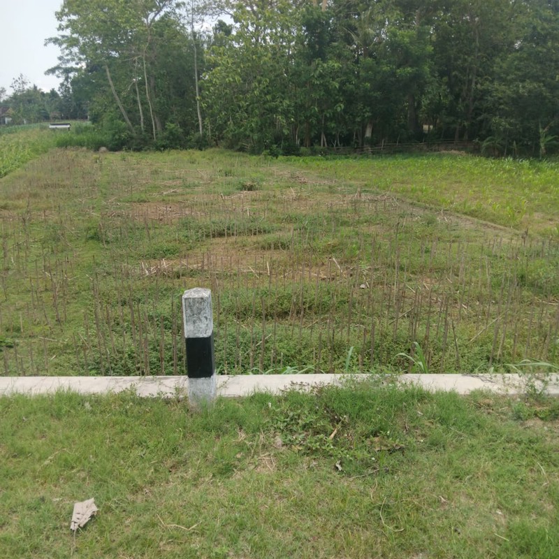 Tanah Pertanian Luas 706 Meter Persegi Lokasi Pundong Bantul 