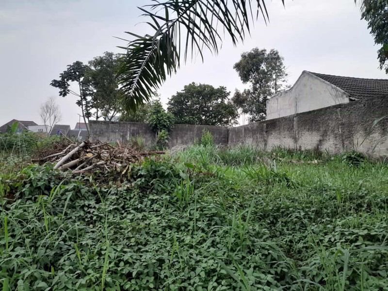 Kavling Siap Bangun Di Perum Griya Insan Cendikia Gunung Sindur Bogor
