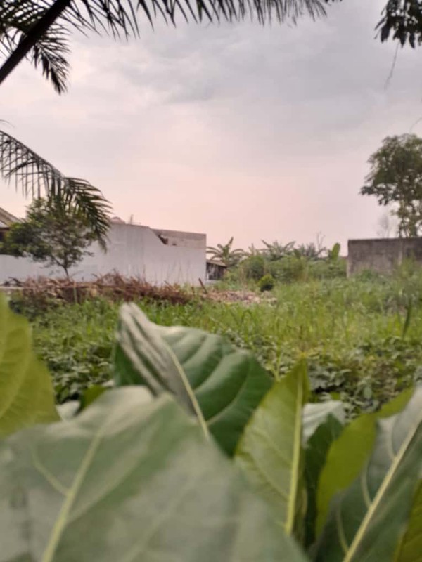 Kavling Siap Bangun Di Perum Griya Insan Cendikia Gunung Sindur Bogor