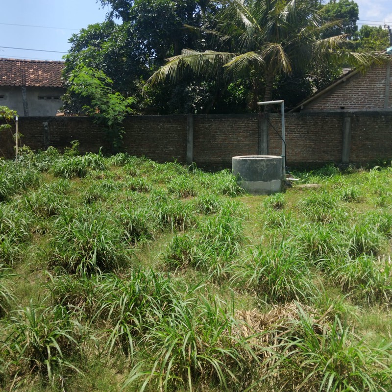 Lahan luas 830 Meter Persegi Cocok Untuk Pertanian atau Agrowisata Lokasi Seloharjo Pundong Bantul