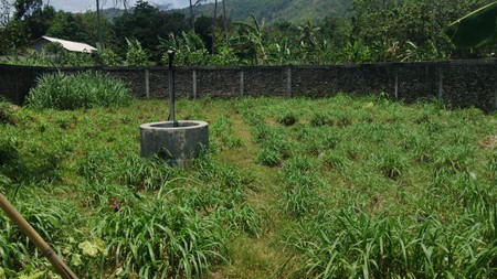 Lahan luas 830 Meter Persegi Cocok Untuk Pertanian atau Agrowisata Lokasi Seloharjo Pundong Bantul